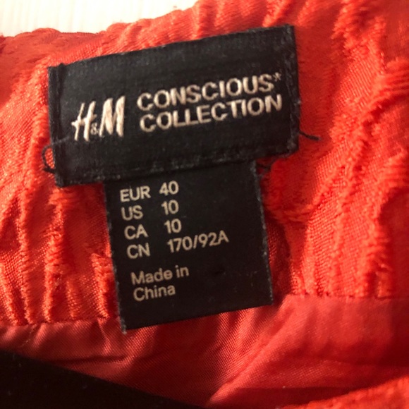 H&M Limited Edition Dress - Picture 3 of 8